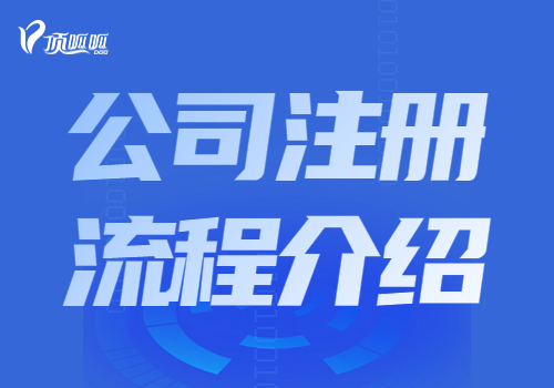 ?南沙區公司注冊